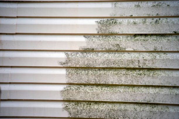 Best Shed Removal  in Mount Penn, PA